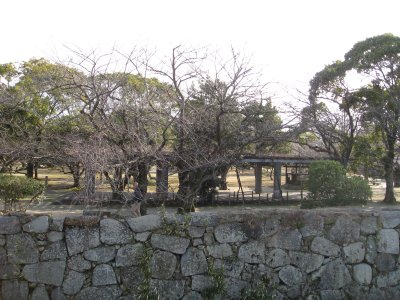 ������@�{�ېՁA�V���